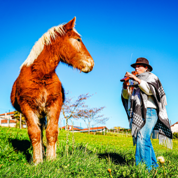 Design sans titre 2025 12 11T095841.709