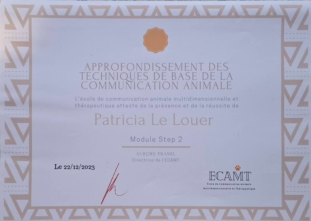 FB_IMG_1746011695451 (1)