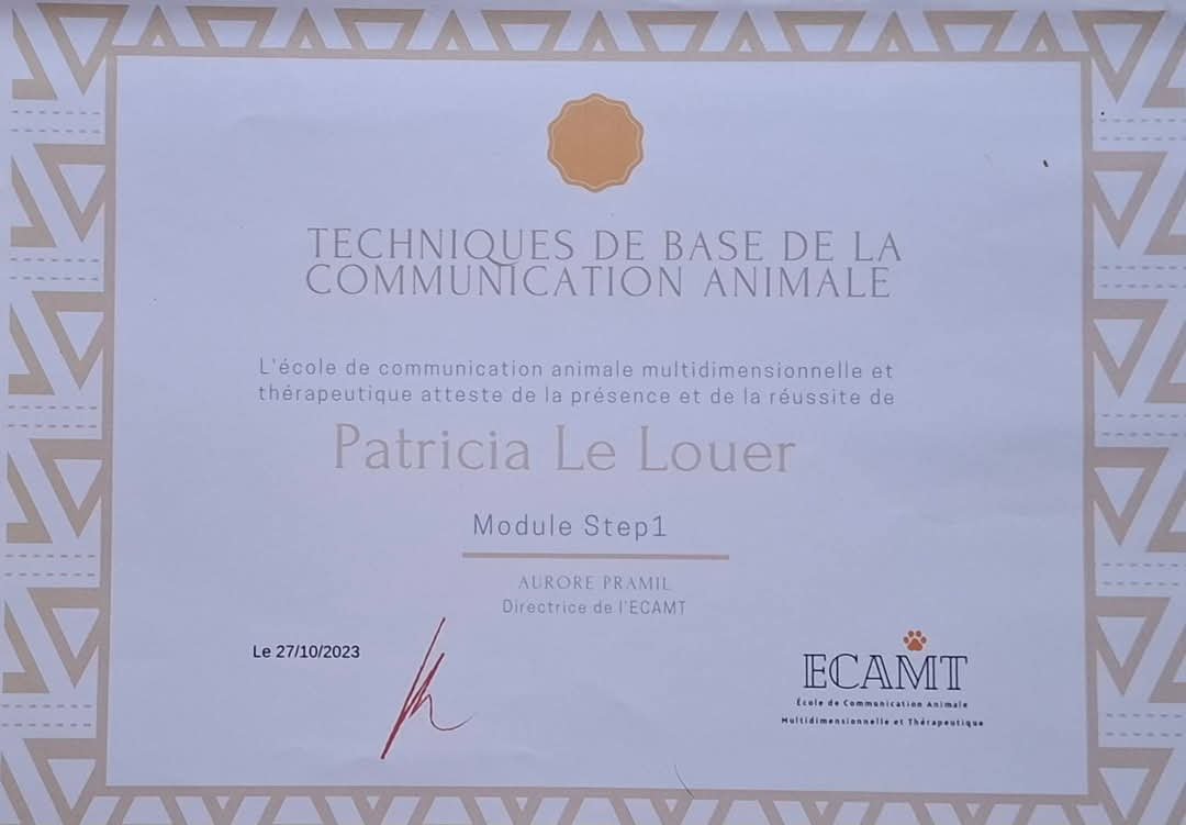 FB_IMG_1746011701504 (2)