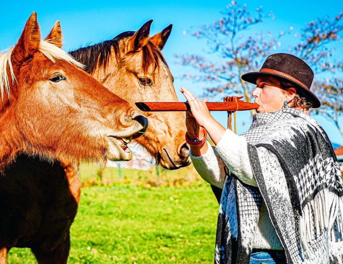Musique de relaxation Chevaux par Patricia Lelouer